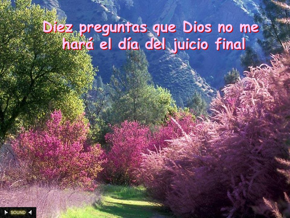 Diez preguntas que Dios no me hará el día del juicio final