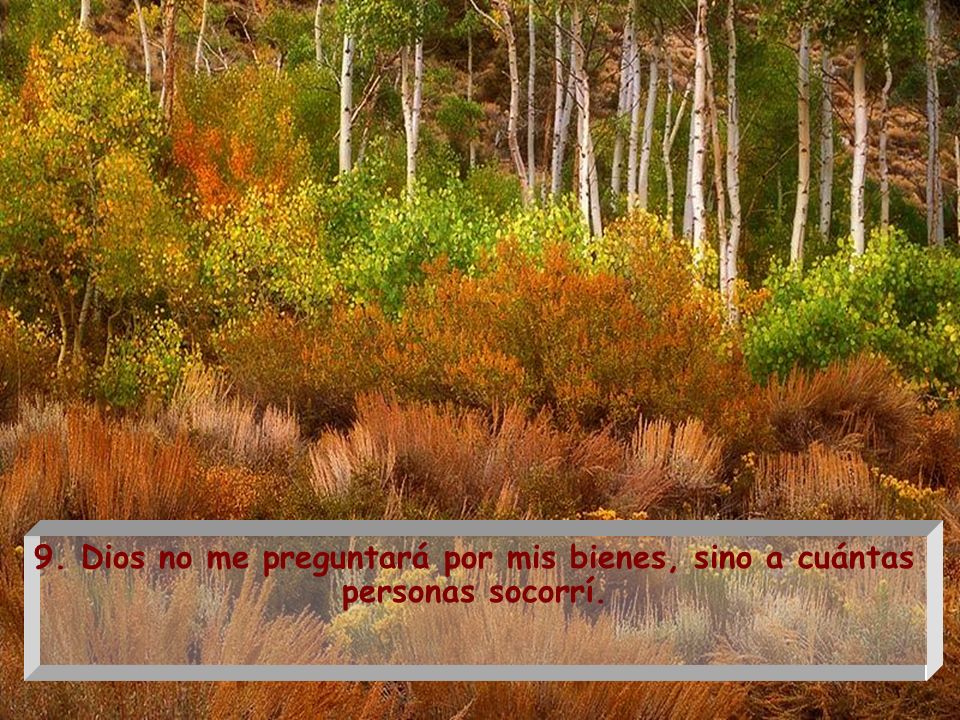 9. Dios no me preguntará por mis bienes, sino a cuántas personas socorrí.
