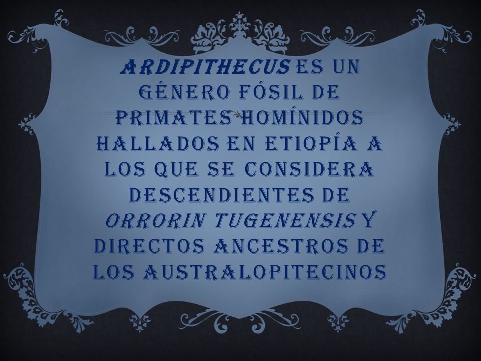 Ardipithecus es un género fósil de primates homínidos hallados en Etiopía a los que se considera descendientes de Orrorin tugenensis y directos ancestros de los australopitecinos