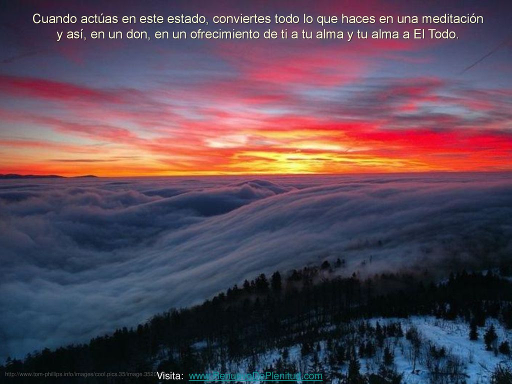 Cuando actúas en este estado, conviertes todo lo que haces en una meditación y así, en un don, en un ofrecimiento de ti a tu alma y tu alma a El Todo.