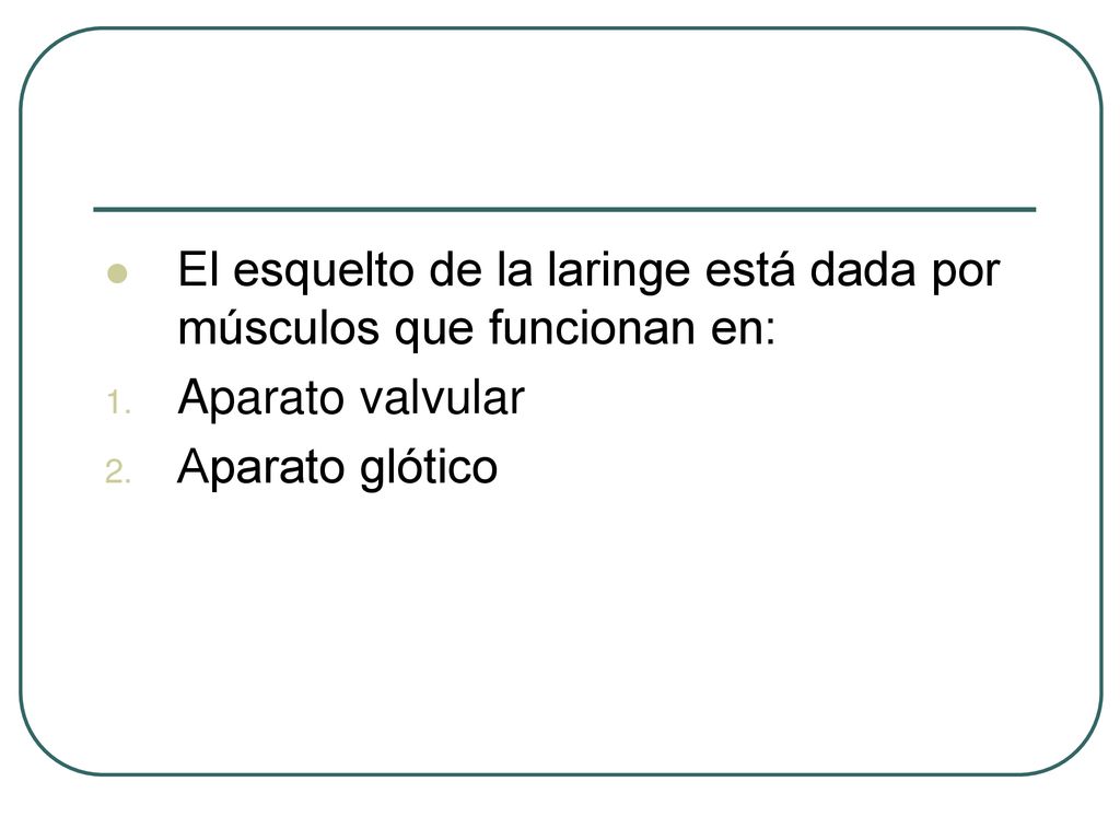 El esquelto de la laringe está dada por músculos que funcionan en: