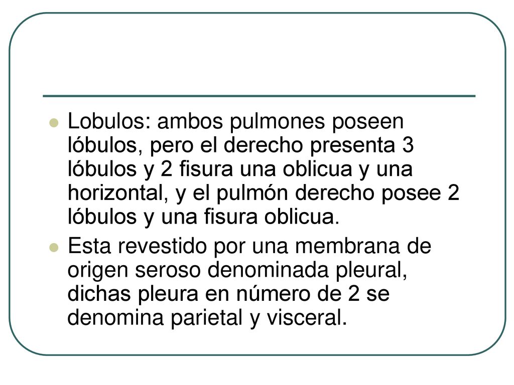 Lobulos: ambos pulmones poseen lóbulos, pero el derecho presenta 3 lóbulos y 2 fisura una oblicua y una horizontal, y el pulmón derecho posee 2 lóbulos y una fisura oblicua.