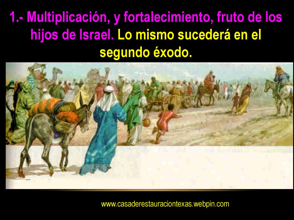 1. - Multiplicación, y fortalecimiento, fruto de los hijos de Israel