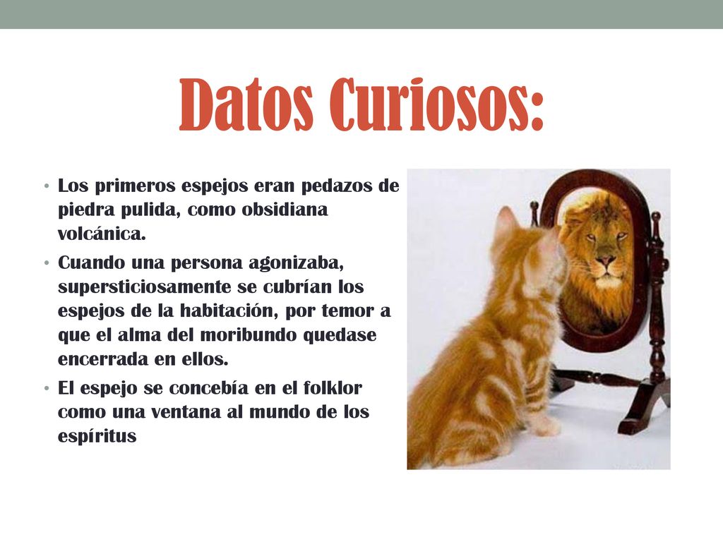 Datos Curiosos: Los primeros espejos eran pedazos de piedra pulida, como obsidiana volcánica.
