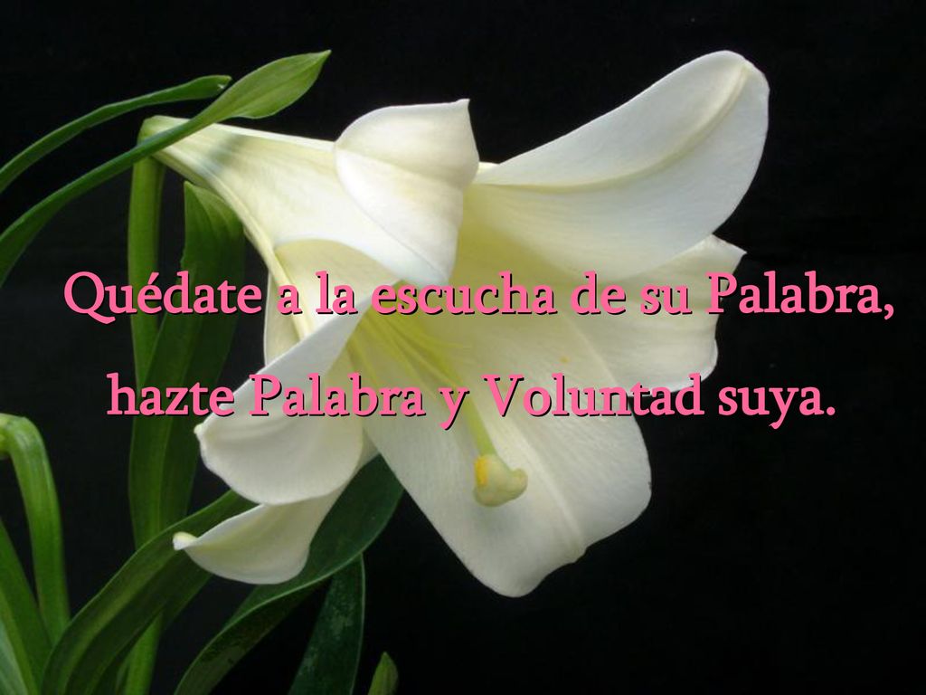 Quédate a la escucha de su Palabra, hazte Palabra y Voluntad suya.