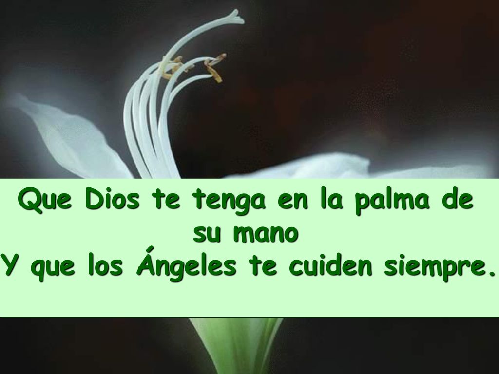 Que Dios te tenga en la palma de su mano