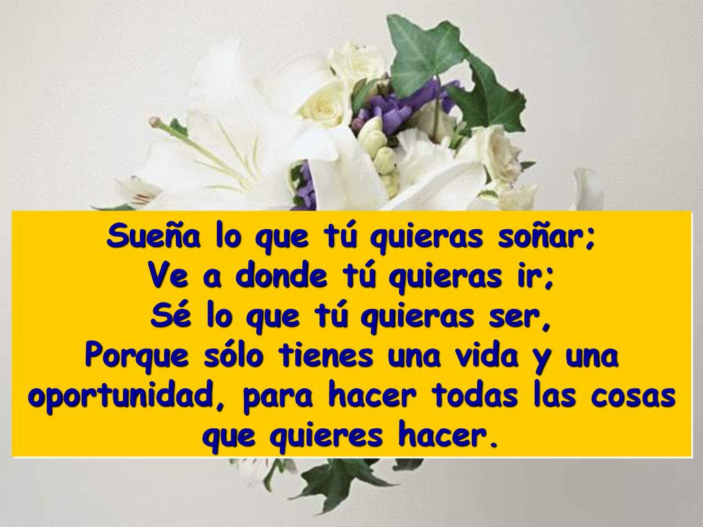 Sueña lo que tú quieras soñar; Ve a donde tú quieras ir;