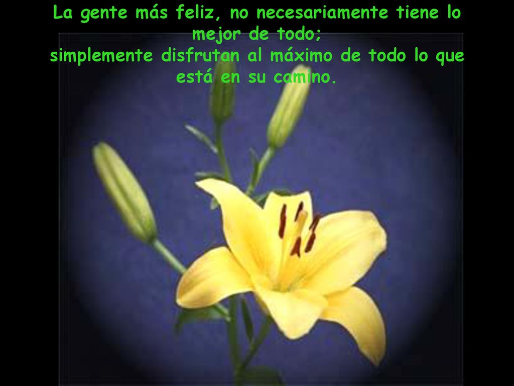 La gente más feliz, no necesariamente tiene lo mejor de todo;
