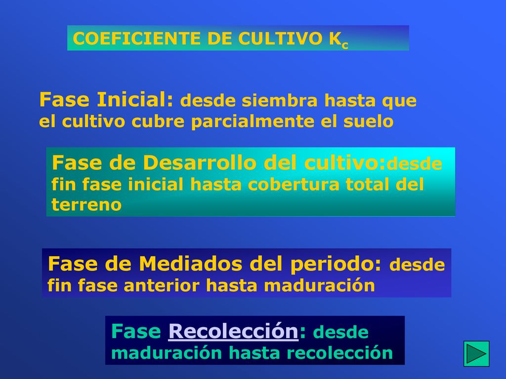 Fase de Mediados del periodo: desde fin fase anterior hasta maduración