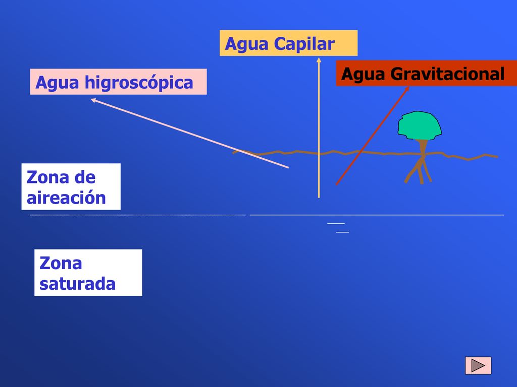 Agua Capilar Agua Gravitacional Agua higroscópica Zona de aireación Zona saturada