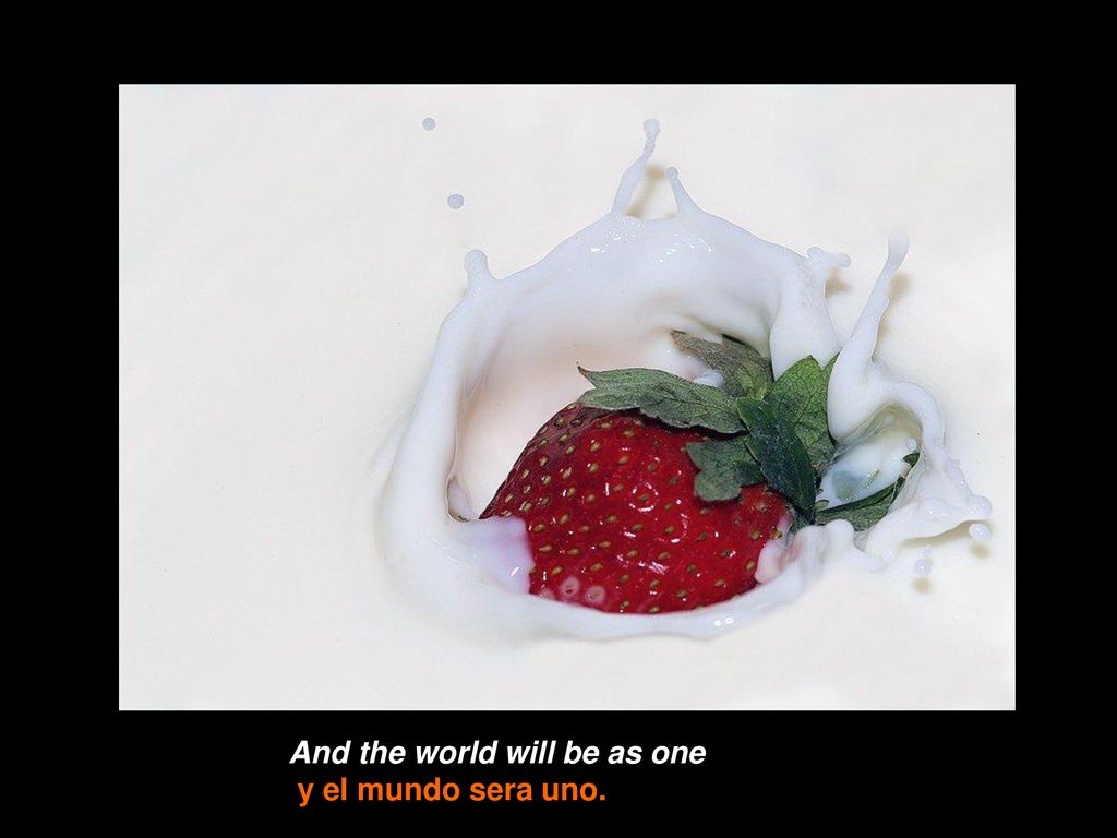 And the world will be as one y el mundo sera uno.