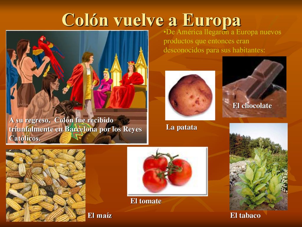 Colón vuelve a Europa De América llegaron a Europa nuevos productos que entonces eran desconocidos para sus habitantes: