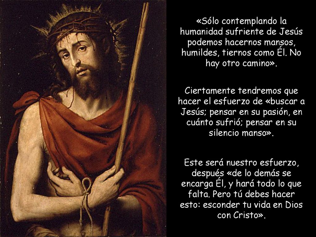 «Sólo contemplando la humanidad sufriente de Jesús podemos hacernos mansos, humildes, tiernos como Él. No hay otro camino».