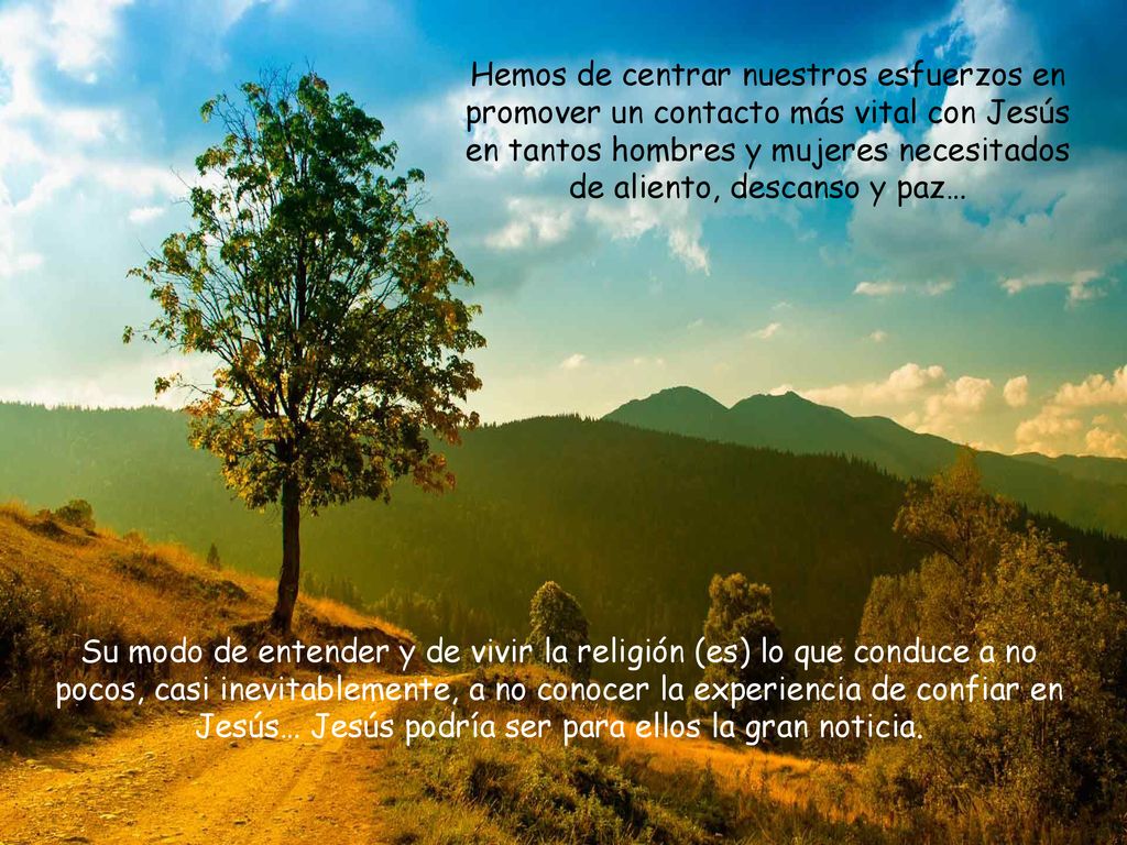 Hemos de centrar nuestros esfuerzos en promover un contacto más vital con Jesús en tantos hombres y mujeres necesitados de aliento, descanso y paz…