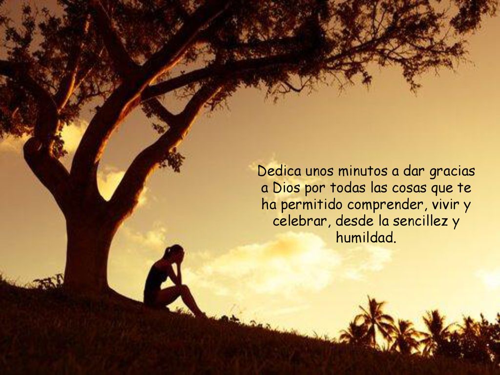 Dedica unos minutos a dar gracias a Dios por todas las cosas que te ha permitido comprender, vivir y celebrar, desde la sencillez y humildad.