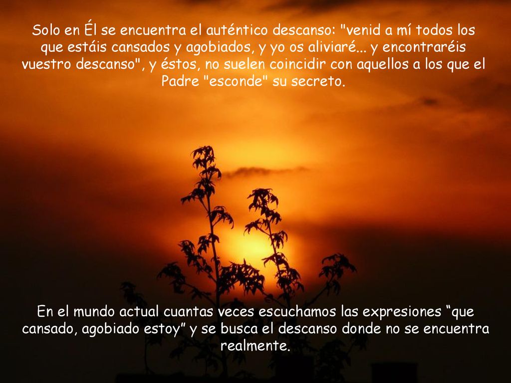 Solo en Él se encuentra el auténtico descanso: venid a mí todos los que estáis cansados y agobiados, y yo os aliviaré... y encontraréis vuestro descanso , y éstos, no suelen coincidir con aquellos a los que el Padre esconde su secreto.