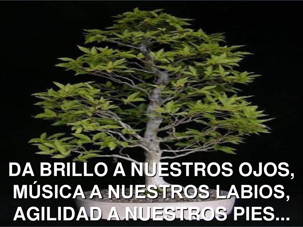 DA BRILLO A NUESTROS OJOS, MÚSICA A NUESTROS LABIOS, AGILIDAD A NUESTROS PIES...