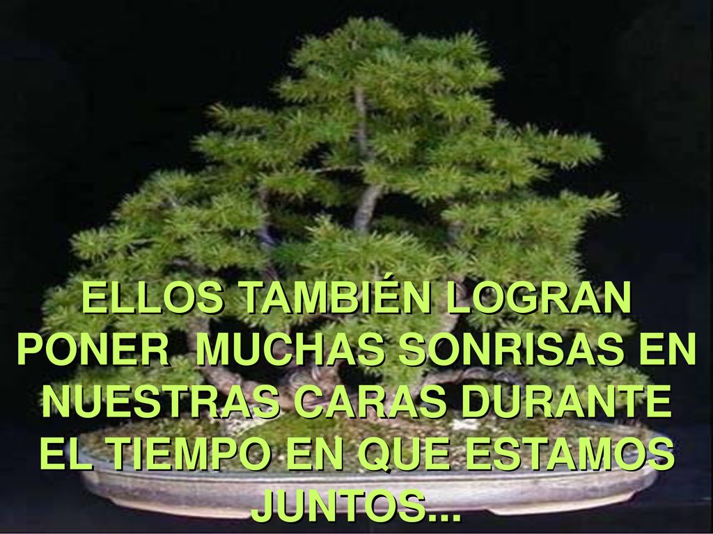 ELLOS TAMBIÉN LOGRAN PONER MUCHAS SONRISAS EN NUESTRAS CARAS DURANTE EL TIEMPO EN QUE ESTAMOS JUNTOS...