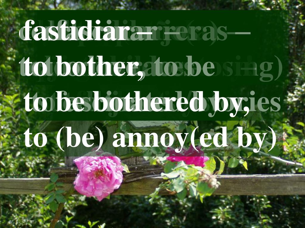 columpiarse – to swing (on a swing) fastidiar – to bother, to be bothered by, to (be) annoy(ed by)