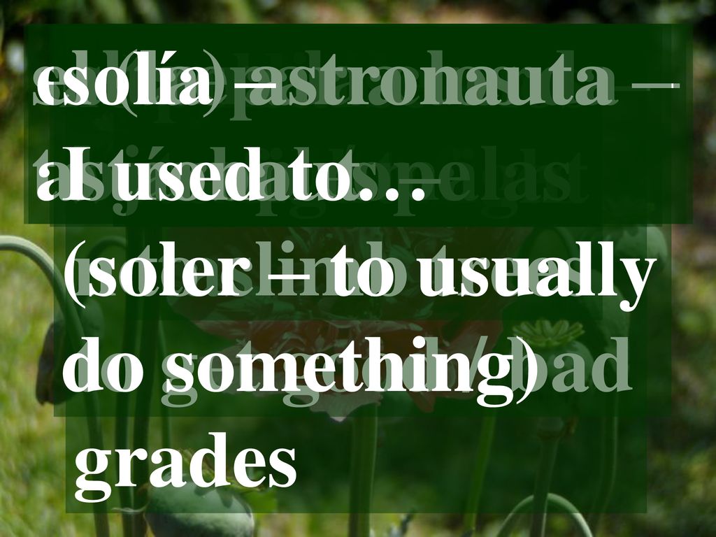 saltar a la cuerda – to jump rope. el (la) astronauta – astronaut. nos peleábamos – we used to fight.
