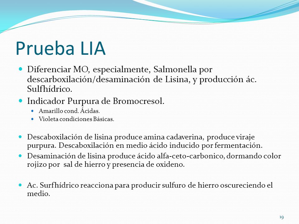 Prueba LIA Diferenciar MO, especialmente, Salmonella por descarboxilación/desaminación de Lisina, y producción ác. Sulfhídrico.