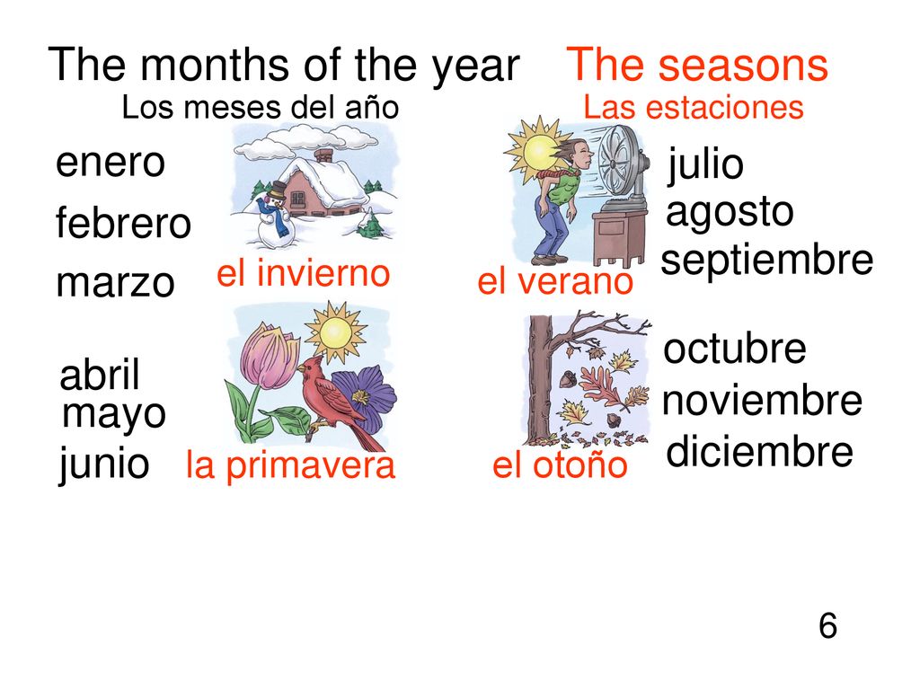 The months of the year The seasons enero julio agosto febrero