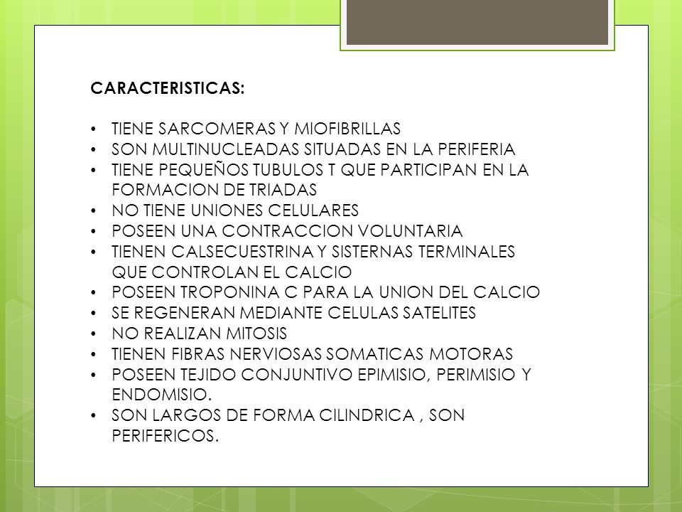 CARACTERISTICAS: TIENE SARCOMERAS Y MIOFIBRILLAS. SON MULTINUCLEADAS SITUADAS EN LA PERIFERIA.