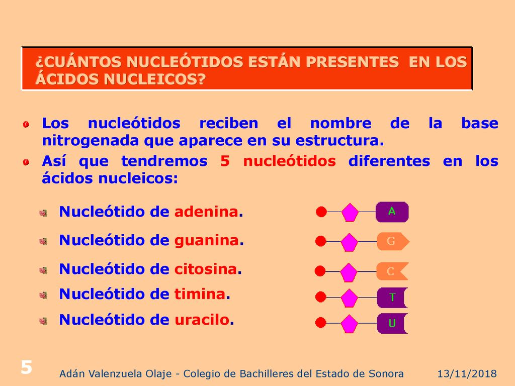 Adán Valenzuela Olaje - Colegio de Bachilleres del Estado de Sonora