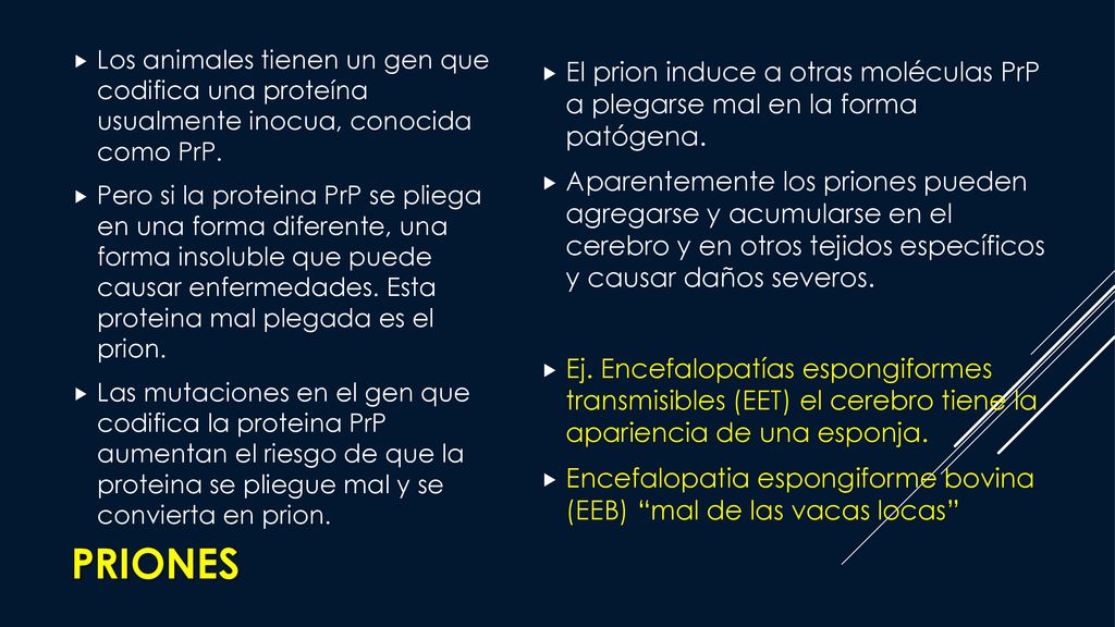 Los animales tienen un gen que codifica una proteína usualmente inocua, conocida como PrP.