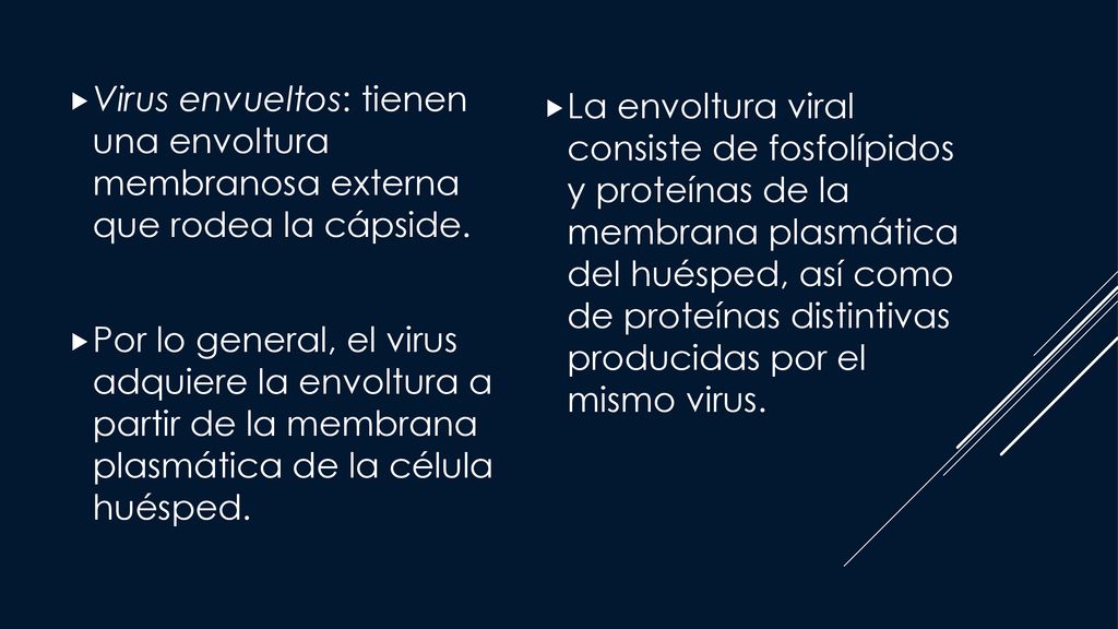 La envoltura viral consiste de fosfolípidos y proteínas de la membrana plasmática del huésped, así como de proteínas distintivas producidas por el mismo virus.