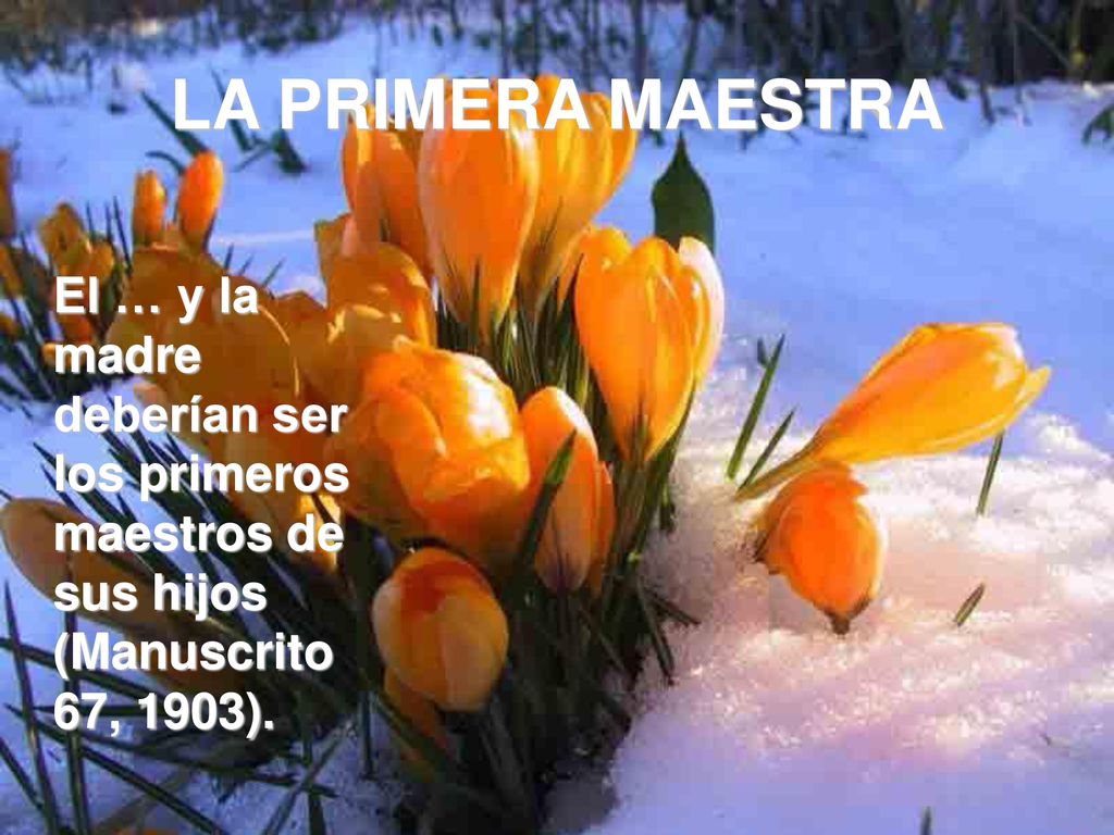 LA PRIMERA MAESTRA El … y la madre deberían ser los primeros maestros de sus hijos (Manuscrito 67, 1903).