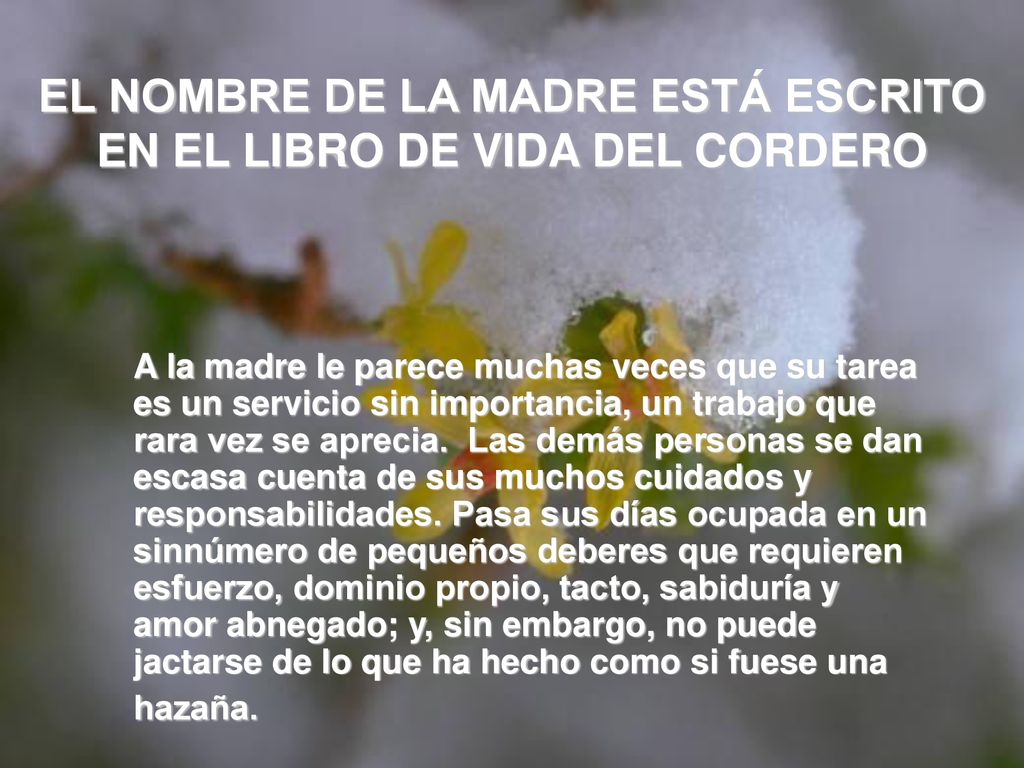 EL NOMBRE DE LA MADRE ESTÁ ESCRITO EN EL LIBRO DE VIDA DEL CORDERO