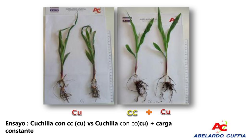 Ensayo : Cuchilla con cc (cu) vs Cuchilla con cc(cu) + carga constante