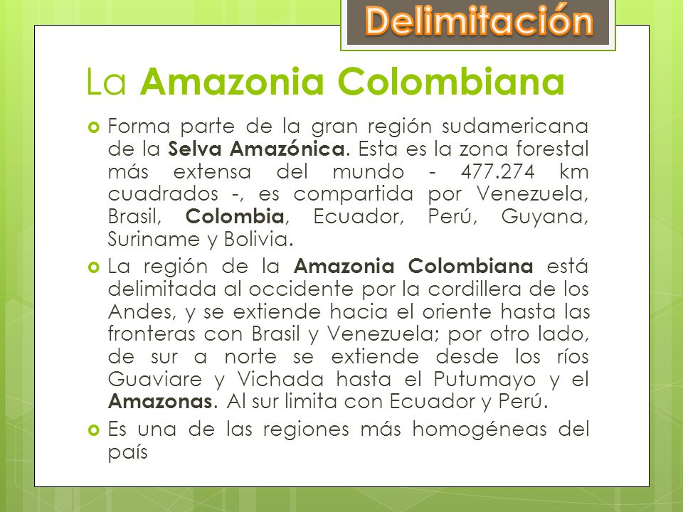 La Amazonia Colombiana