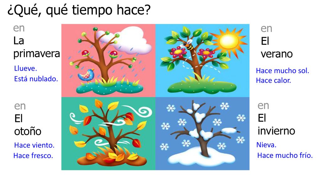 ¿Qué, qué tiempo hace en en La primavera El verano en en El otoño
