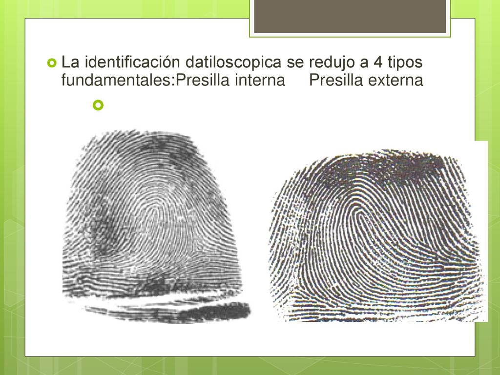 La identificación datiloscopica se redujo a 4 tipos fundamentales:Presilla interna Presilla externa