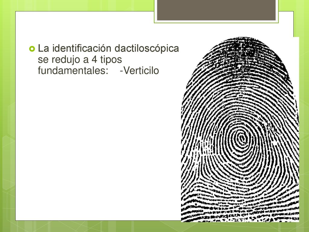 La identificación dactiloscópica se redujo a 4 tipos fundamentales: -Verticilo