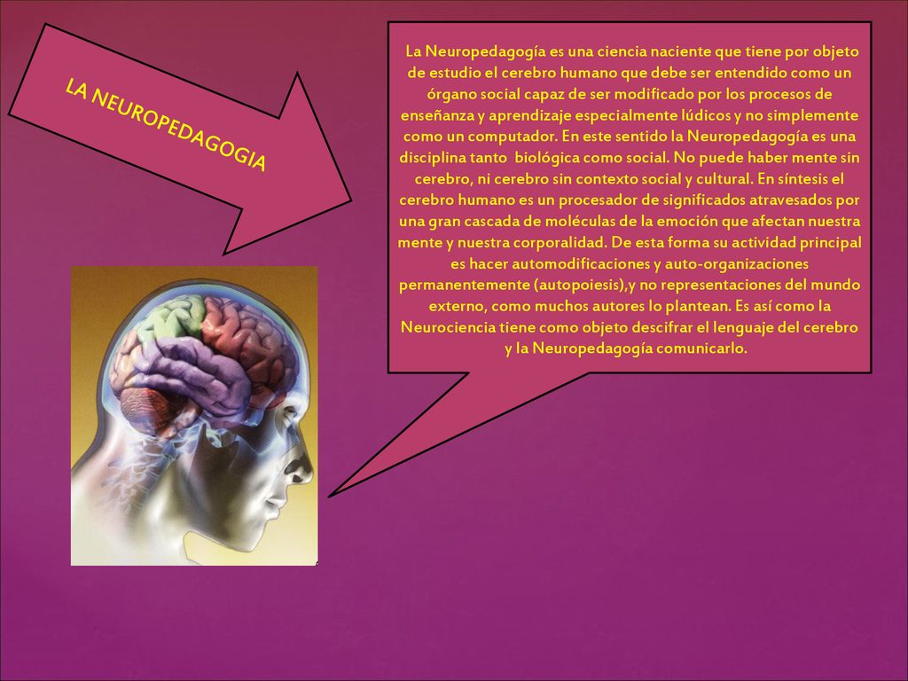 La Neuropedagogía es una ciencia naciente que tiene por objeto de estudio el cerebro humano que debe ser entendido como un órgano social capaz de ser modificado por los procesos de enseñanza y aprendizaje especialmente lúdicos y no simplemente como un computador. En este sentido la Neuropedagogía es una disciplina tanto biológica como social. No puede haber mente sin cerebro, ni cerebro sin contexto social y cultural. En síntesis el cerebro humano es un procesador de significados atravesados por una gran cascada de moléculas de la emoción que afectan nuestra mente y nuestra corporalidad. De esta forma su actividad principal es hacer automodificaciones y auto-organizaciones permanentemente (autopoiesis),y no representaciones del mundo externo, como muchos autores lo plantean. Es así como la Neurociencia tiene como objeto descifrar el lenguaje del cerebro y la Neuropedagogía comunicarlo.