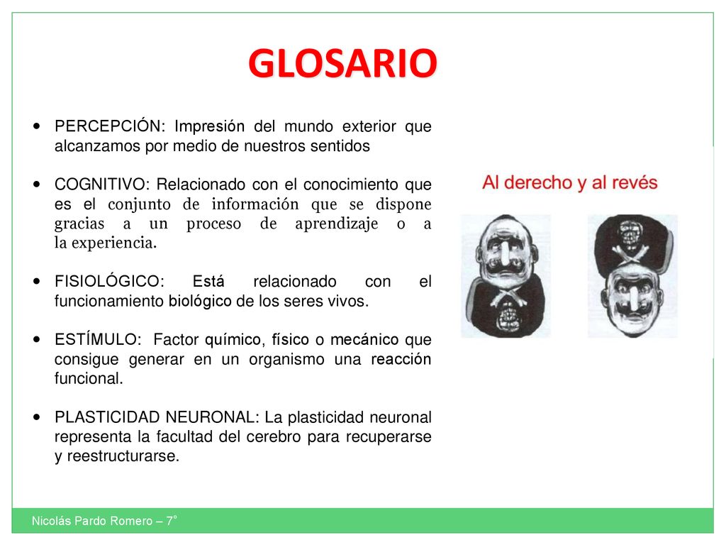 GLOSARIO PERCEPCIÓN: Impresión del mundo exterior que alcanzamos por medio de nuestros sentidos.