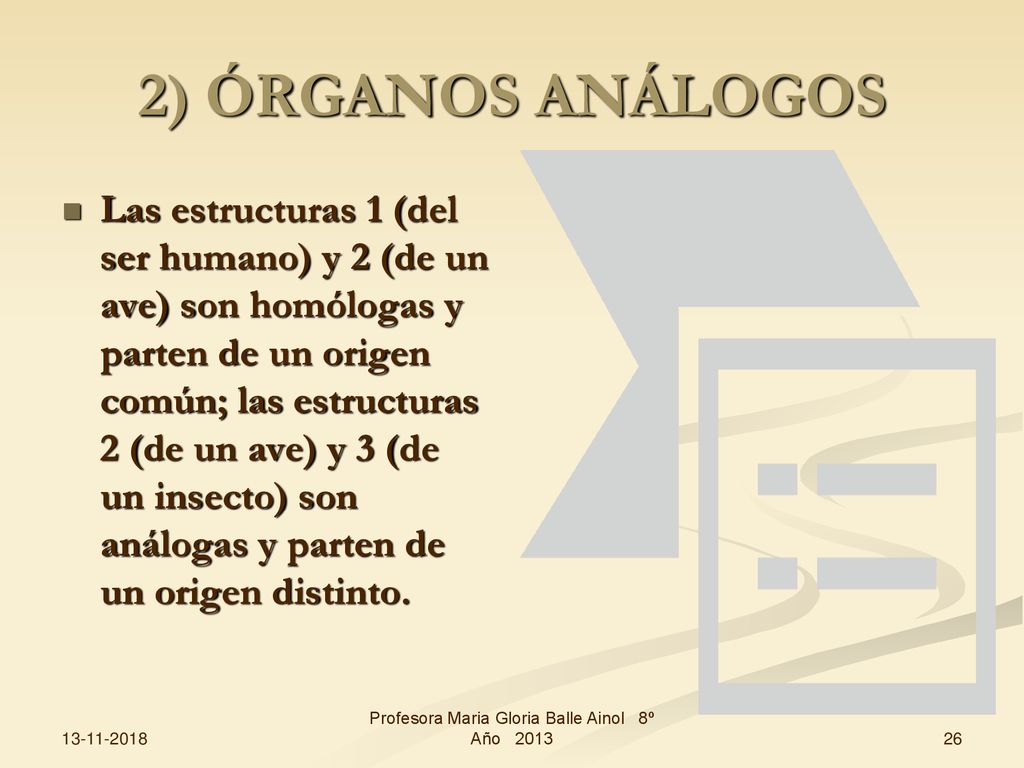 Profesora Maria Gloria Balle Ainol 8º Año 2013