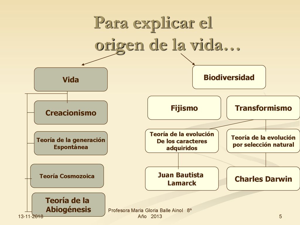 Para explicar el origen de la vida… Teoría de la generación
