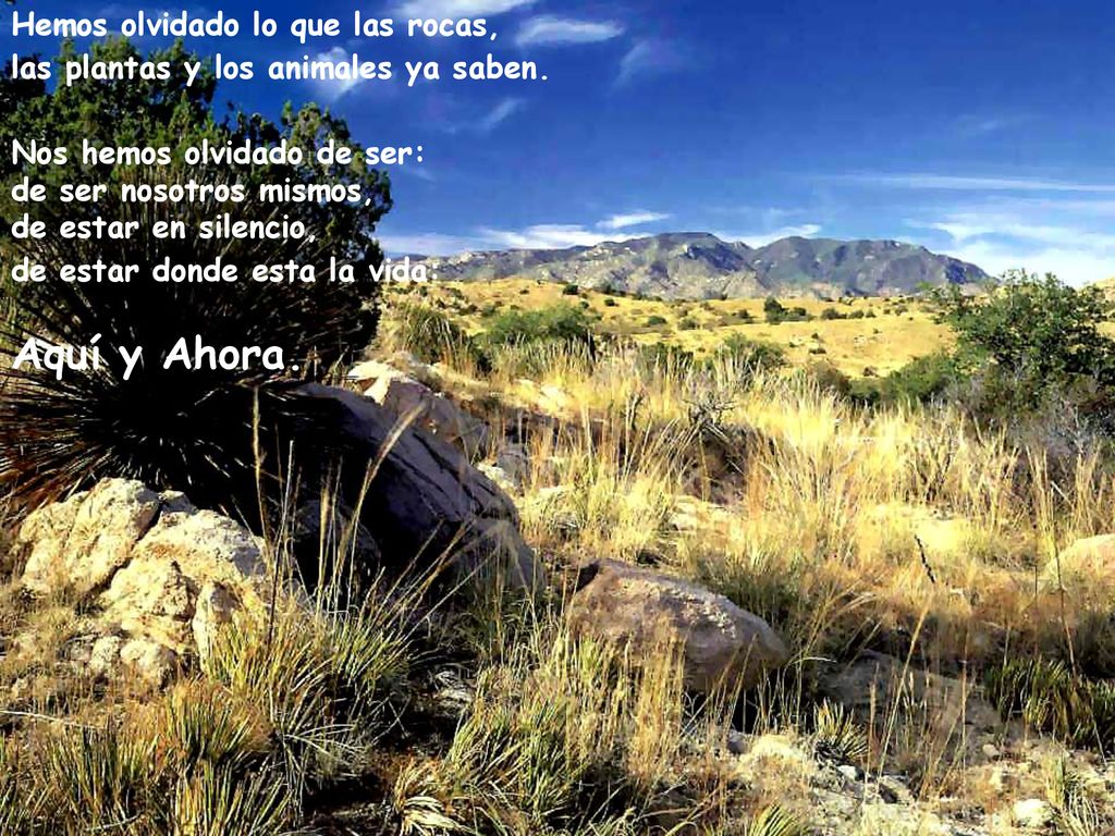 Aquí y Ahora. Hemos olvidado lo que las rocas,