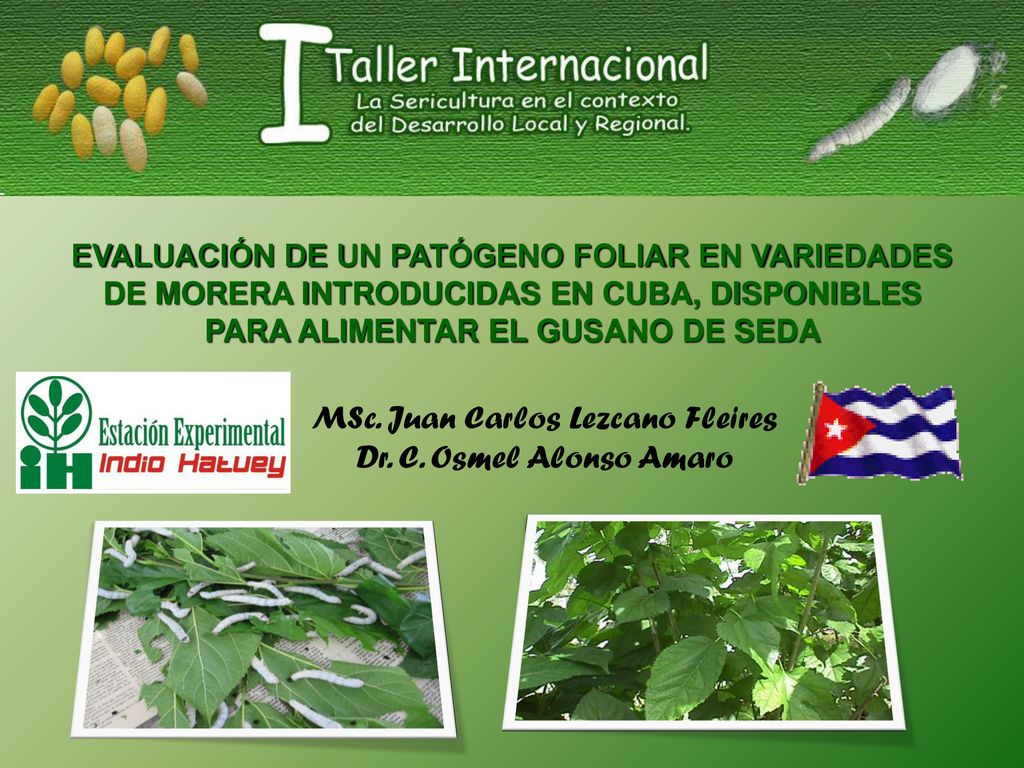 MSc. Juan Carlos Lezcano Fleires Dr. C. Osmel Alonso Amaro