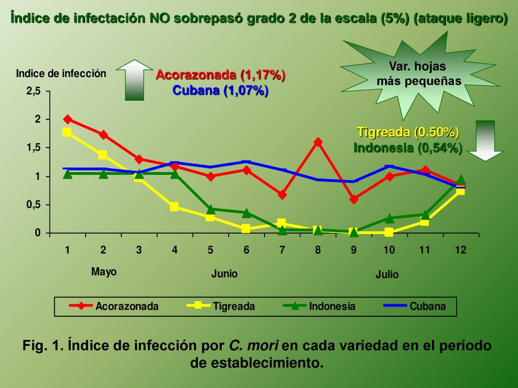 Índice de infectación NO sobrepasó grado 2 de la escala (5%) (ataque ligero)