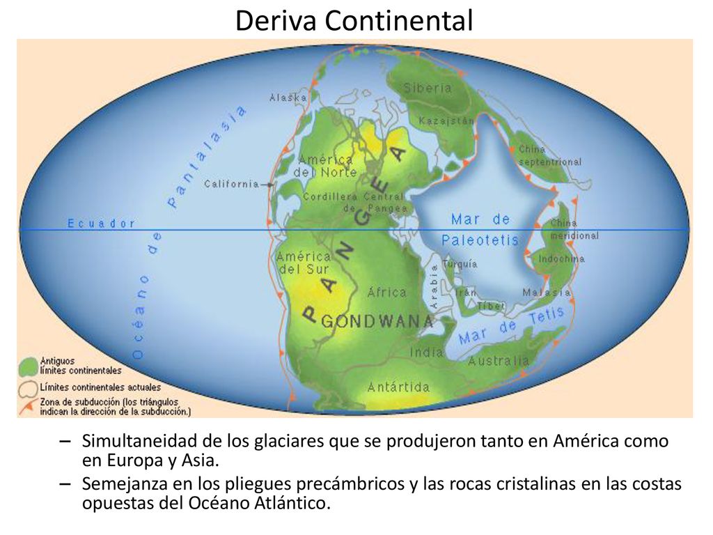 Deriva Continental Simultaneidad de los glaciares que se produjeron tanto en América como en Europa y Asia.