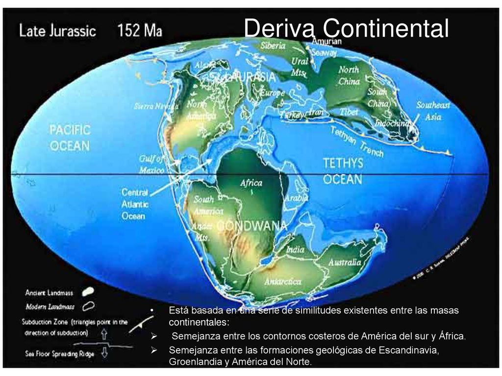 Deriva Continental Está basada en una serie de similitudes existentes entre las masas continentales: