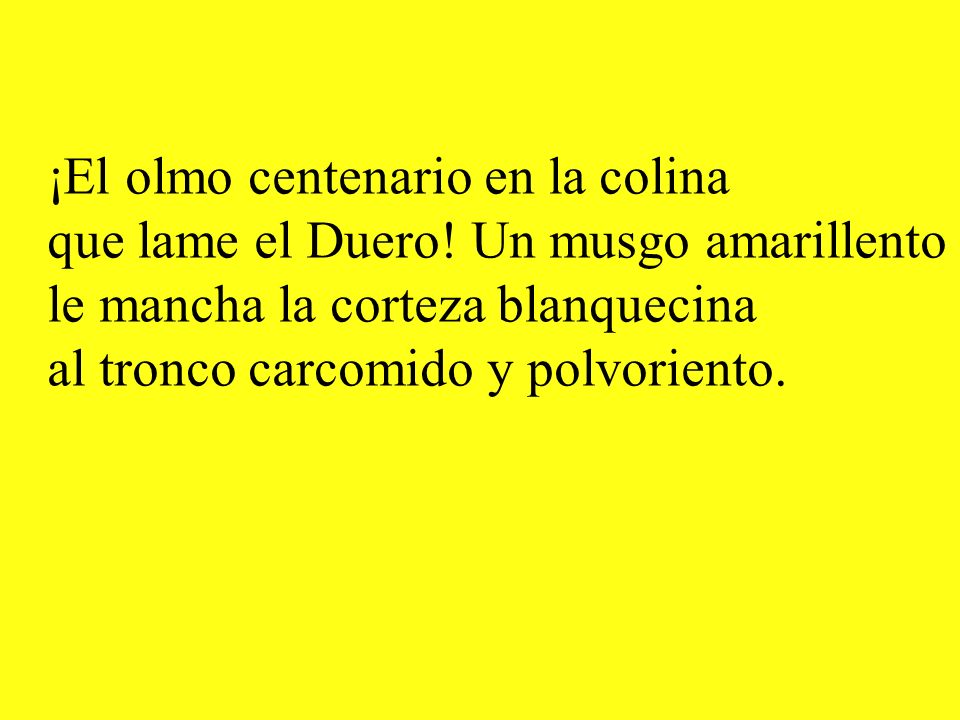 ¡El olmo centenario en la colina que lame el Duero