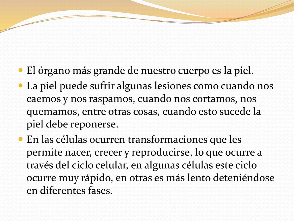 El órgano más grande de nuestro cuerpo es la piel.