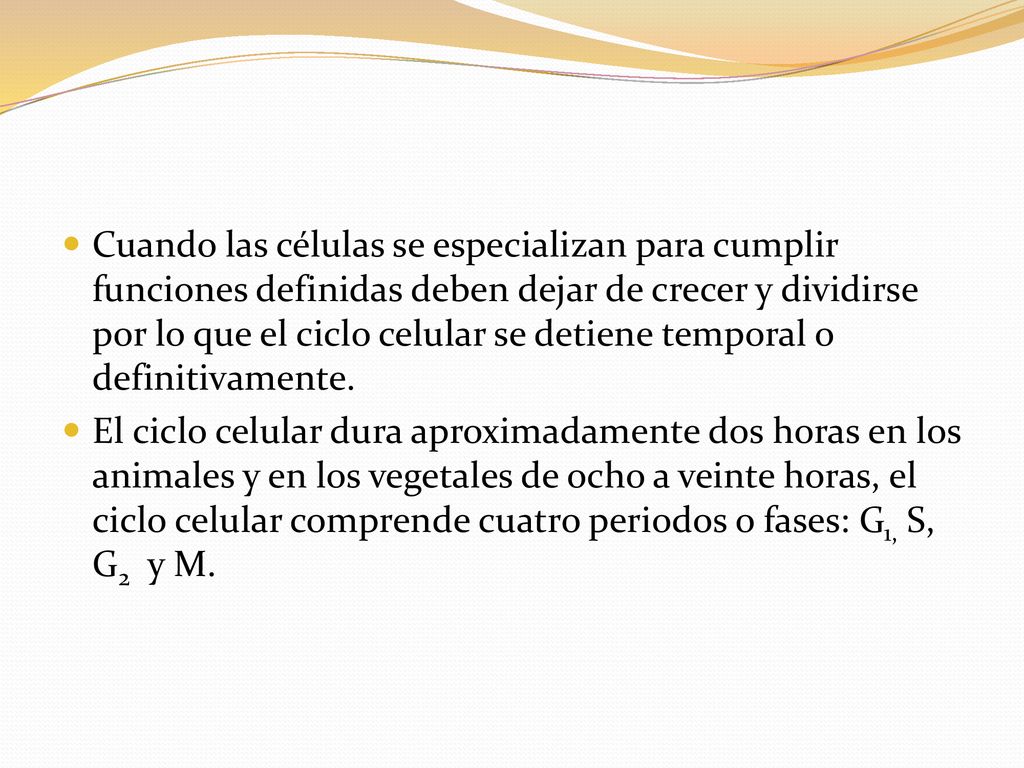 Cuando las células se especializan para cumplir funciones definidas deben dejar de crecer y dividirse por lo que el ciclo celular se detiene temporal o definitivamente.