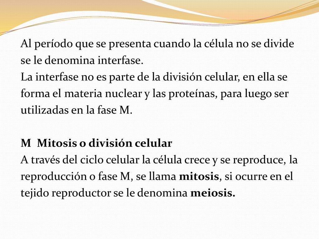 Al período que se presenta cuando la célula no se divide